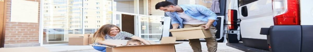 Removalist Auction
