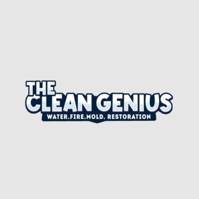 The Clean Genius 